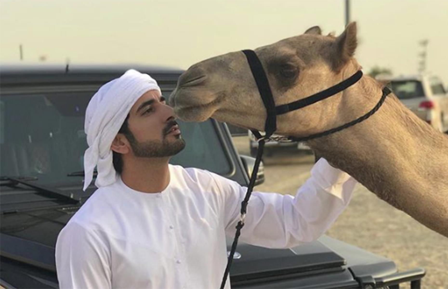A beautiful camel, $2.7 million (£1.4m)